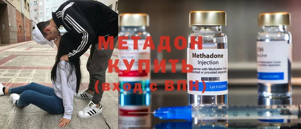 прущие грибы Волоколамск